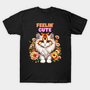 Feelin Cute Kitty T-Shirt